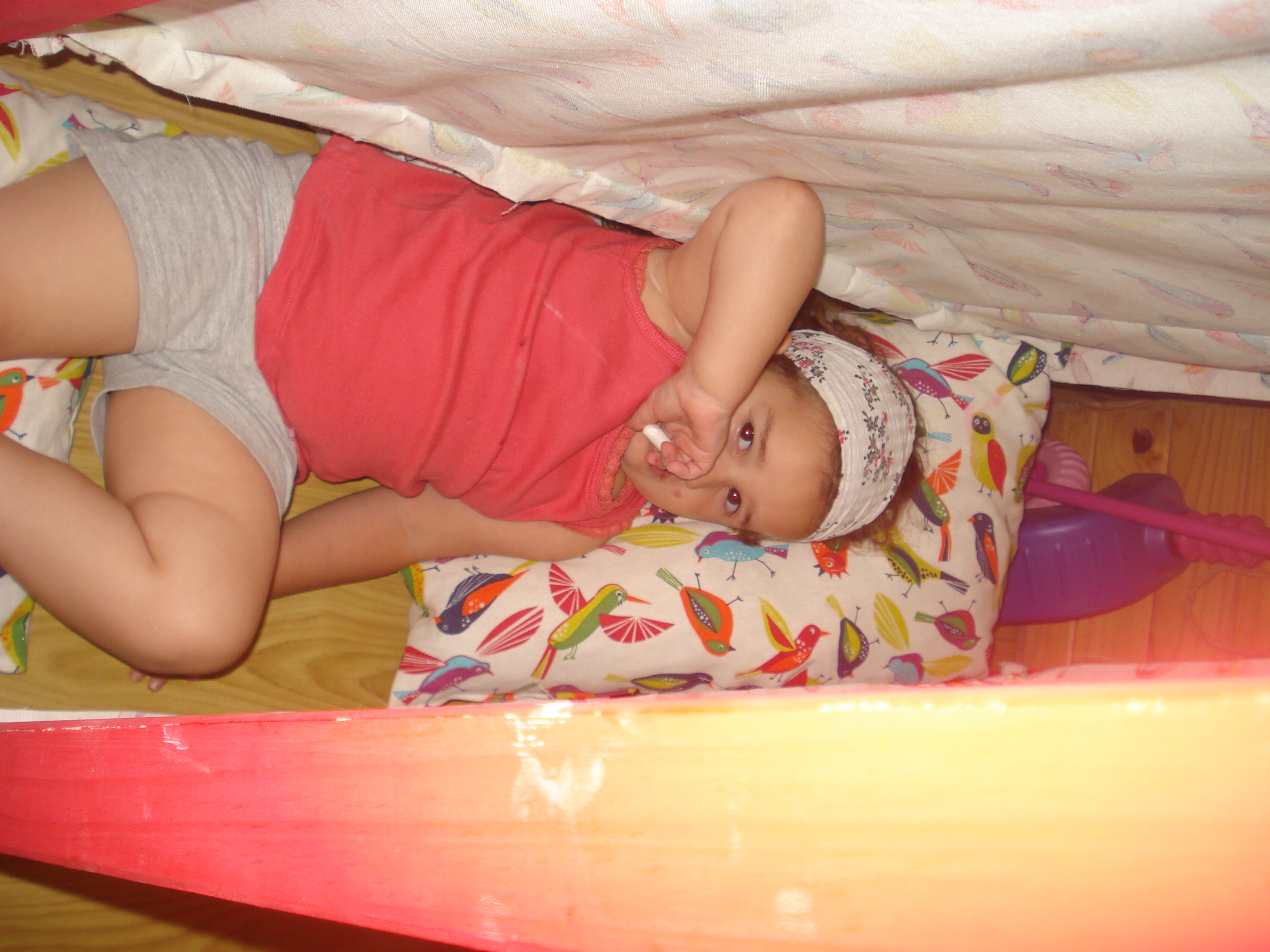 fotos/2012-12-24 - Navidad y pileta/DSC05116.JPG